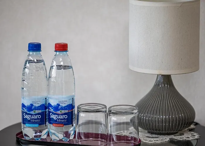 Apartmentspalanga No. 3 公寓 帕兰加